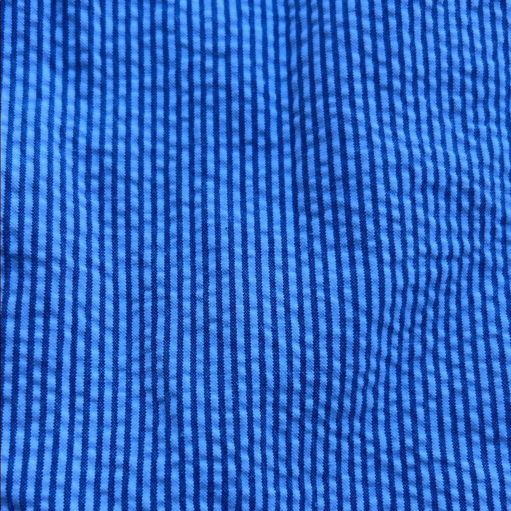 Blue Striped Pants - Picture 8 of 8